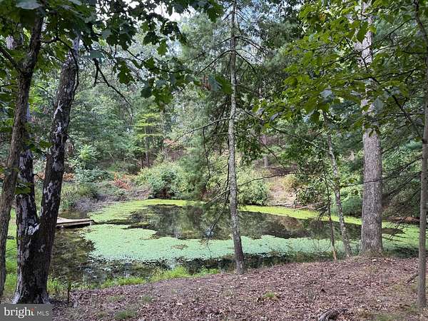 10.5 Acres of Land for Sale in Berkeley Springs, West Virginia