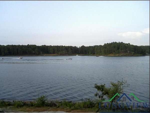 0.53 Acres of Residential Land for Sale in Harleton, Texas