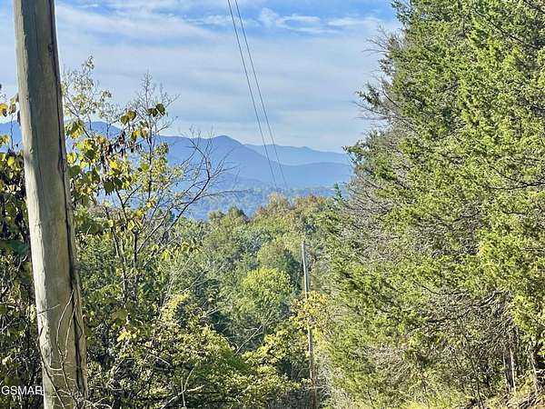 59.5 Acres of Land for Sale in Newport, Tennessee