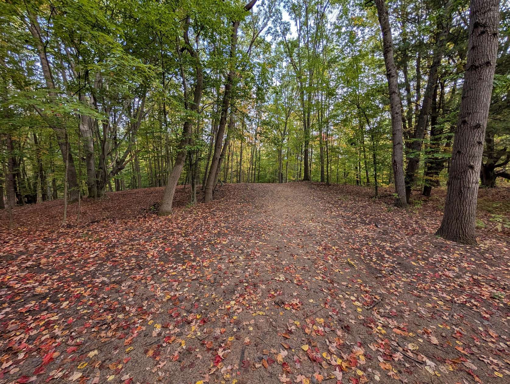 0.96 Acres of Land for Sale in Custer, Michigan