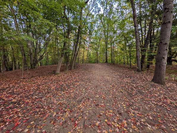 0.96 Acres of Land for Sale in Custer, Michigan