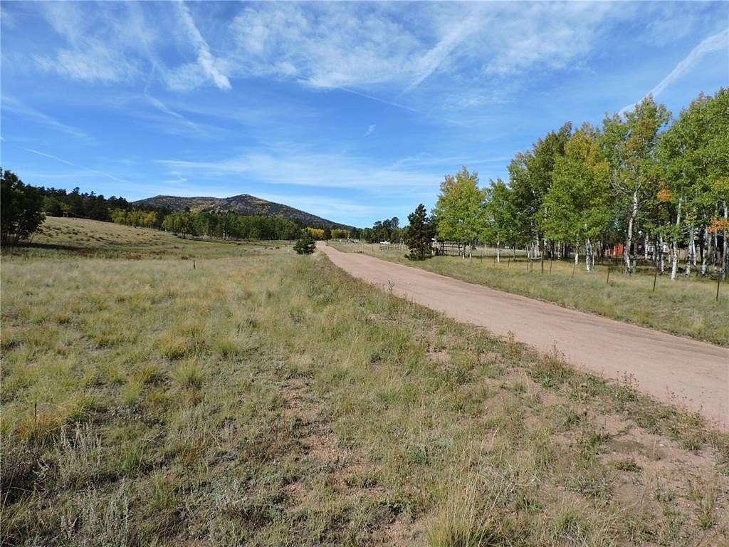 1.3 Acres of Residential Land for Sale in Lake George, Colorado