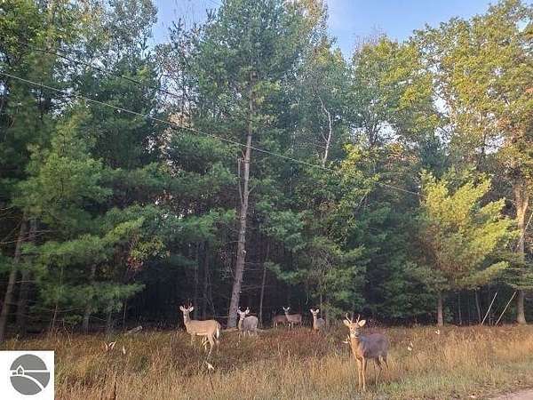 0.28 Acres of Residential Land for Sale in Alger, Michigan