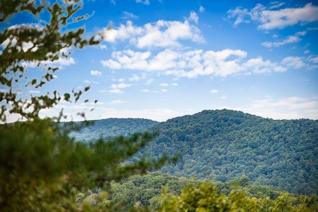 3 Acres of Residential Land for Sale in Blue Ridge, Georgia