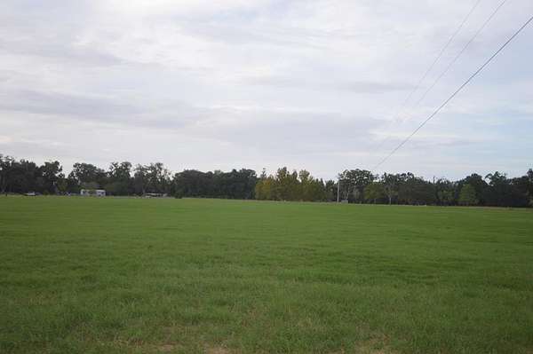 9.5 Acres of Residential Land for Sale in Trenton, Florida