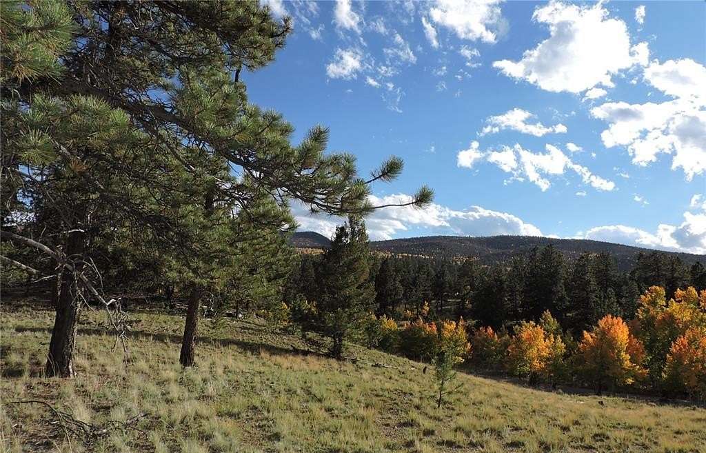 10.8 Acres of Recreational Land for Sale in Hartsel, Colorado