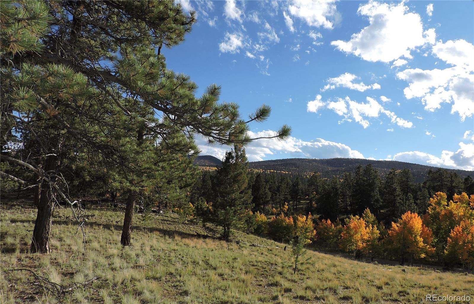 10.8 Acres of Recreational & Residential Land for Sale in Hartsel, Colorado