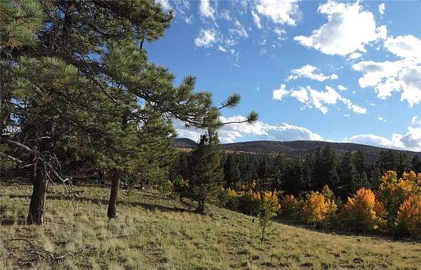 10.8 Acres of Recreational Land for Sale in Hartsel, Colorado