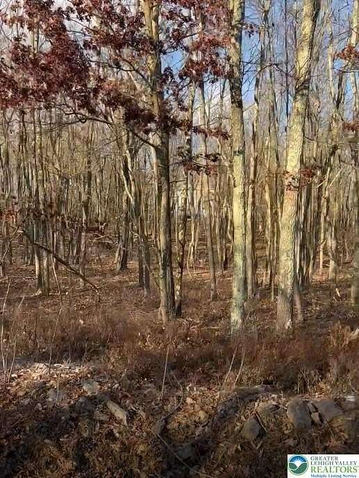 0.51 Acres of Residential Land for Sale in Penn Forest Township, Pennsylvania