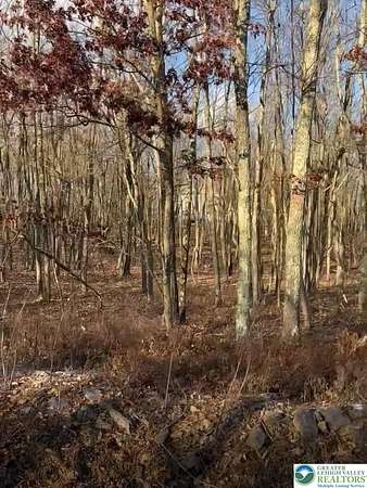 0.51 Acres of Residential Land for Sale in Penn Forest Township, Pennsylvania