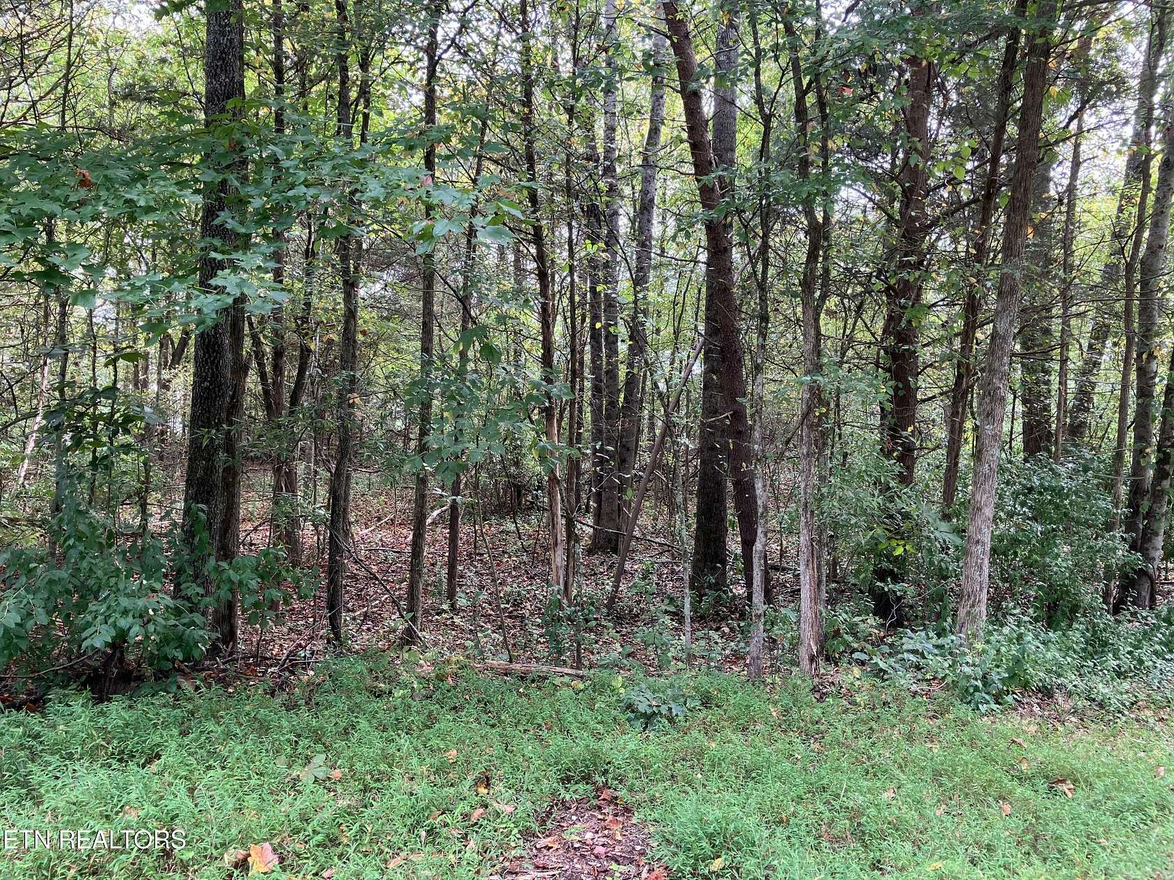 0.5 Acres of Land for Sale in Baneberry, Tennessee
