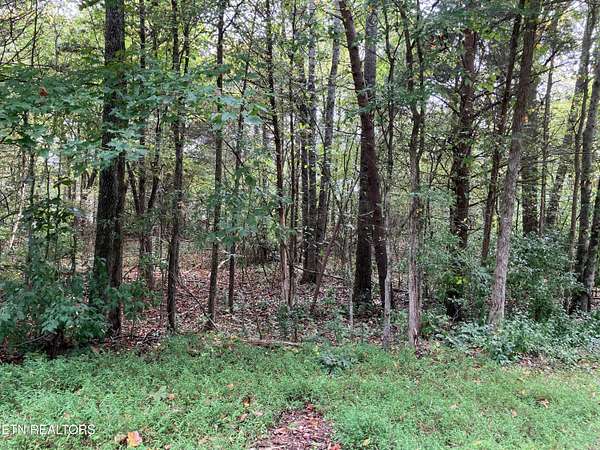 0.5 Acres of Land for Sale in Baneberry, Tennessee