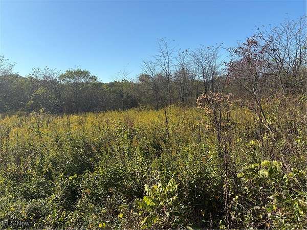 20 Acres of Land for Sale in Zanesville, Ohio