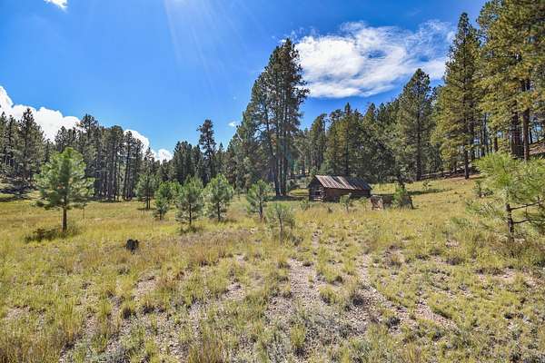 27.5 Acres of Land for Sale in Jemez Springs, New Mexico