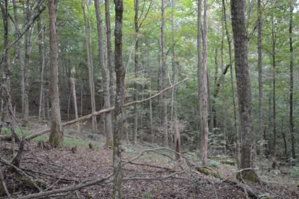 5.78 Acres of Residential Land for Sale in Gainesboro, Tennessee