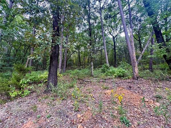 0.57 Acres of Residential Land for Sale in Dardanelle, Arkansas