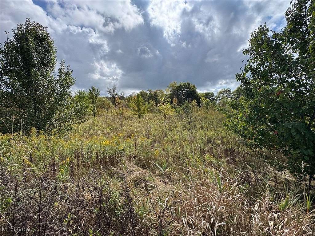 10.4 Acres of Commercial Land for Auction in Aurora, Ohio