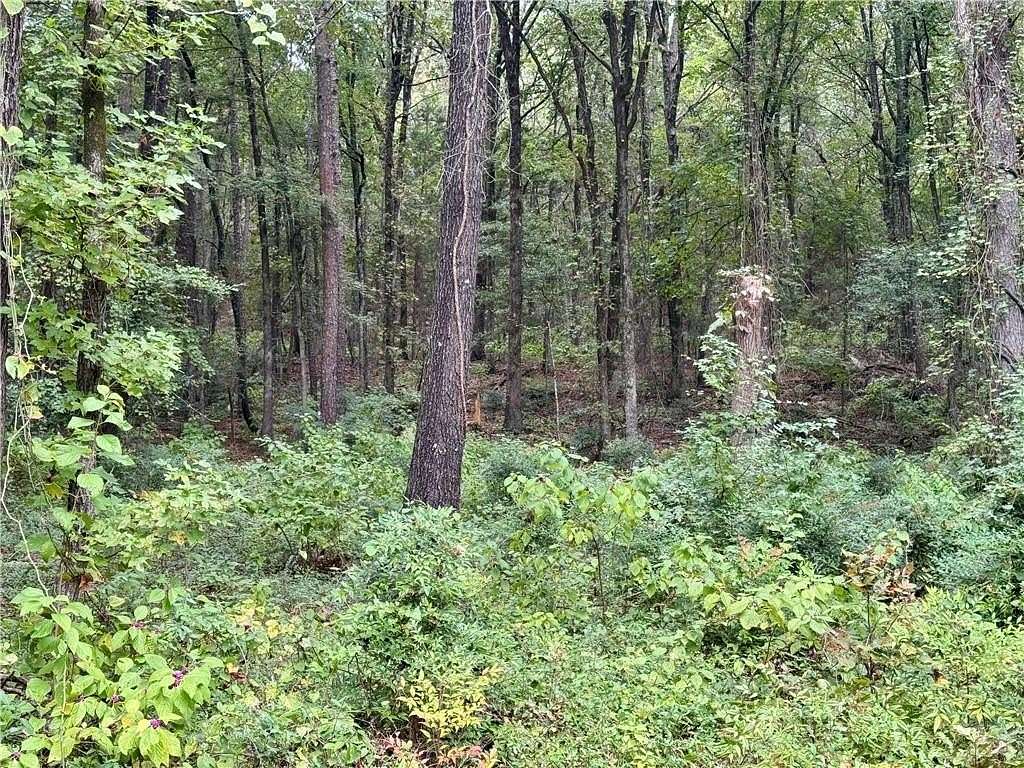 0.74 Acres of Residential Land for Sale in Dardanelle, Arkansas