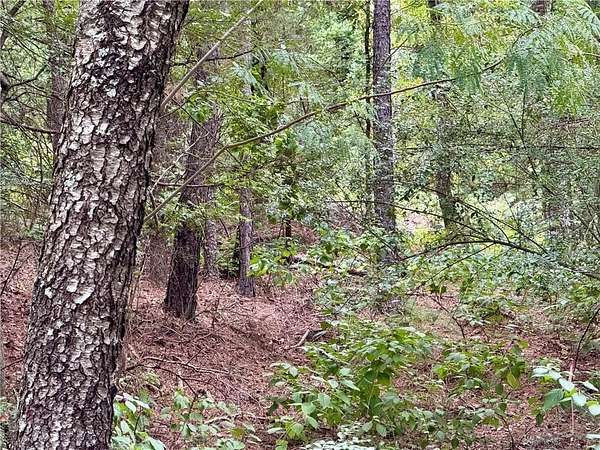 0.64 Acres of Residential Land for Sale in Dardanelle, Arkansas