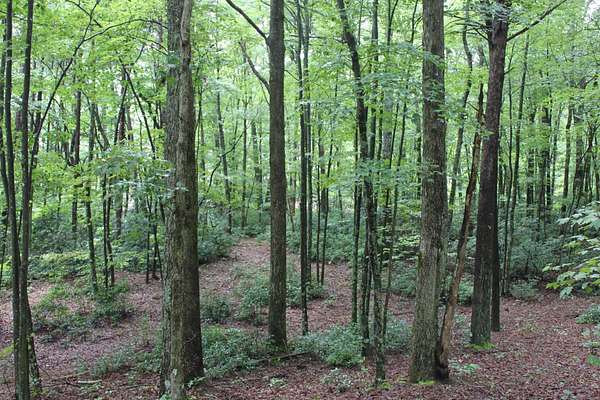0.26 Acres of Residential Land for Sale in Dunlap, Tennessee