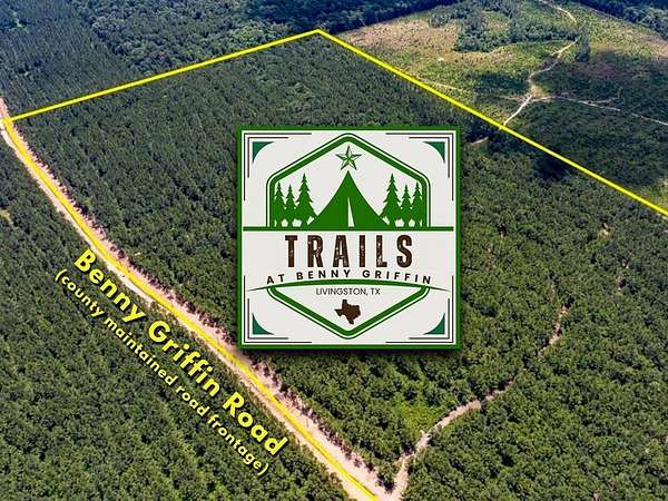 43.3 Acres of Recreational Land for Sale in Livingston, Texas