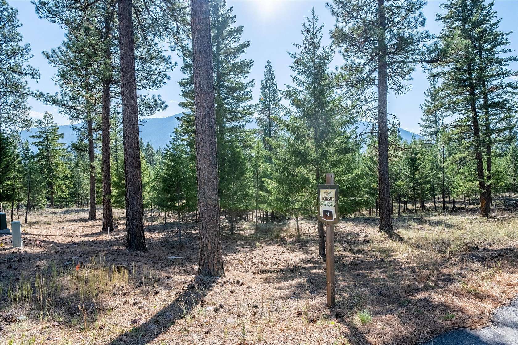 1 Acre of Land for Sale in Clinton, Montana