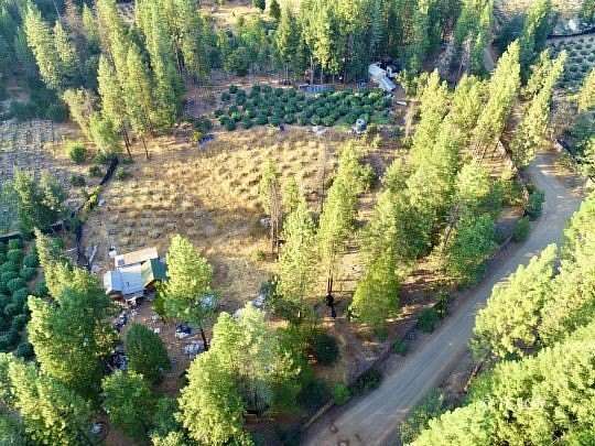 1.43 Acres of Residential Land for Sale in Hayfork, California
