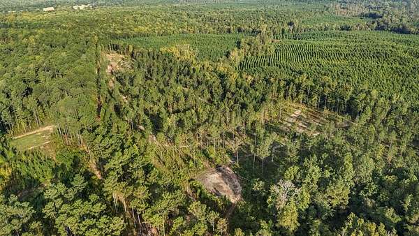 23.5 Acres of Recreational Land for Sale in Waverly Hall, Georgia