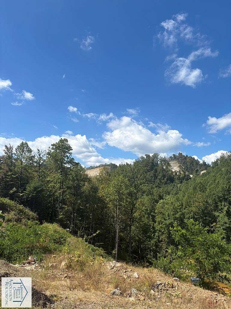 82 Acres of Land for Sale in Meadows of Dan, Virginia