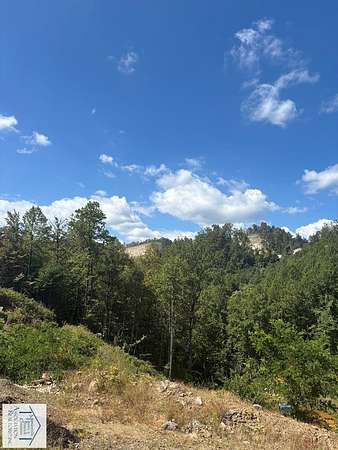 82 Acres of Land for Sale in Meadows of Dan, Virginia