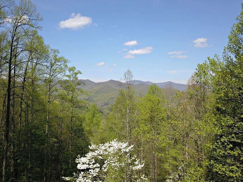 56 Acres of Recreational & Residential Land for Sale in Sylva, North Carolina