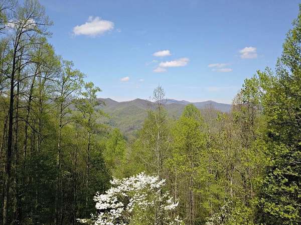 56 Acres of Recreational Land for Sale in Sylva, North Carolina