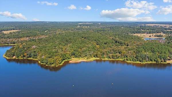 53.8 Acres of Land for Sale in Grapeland, Texas