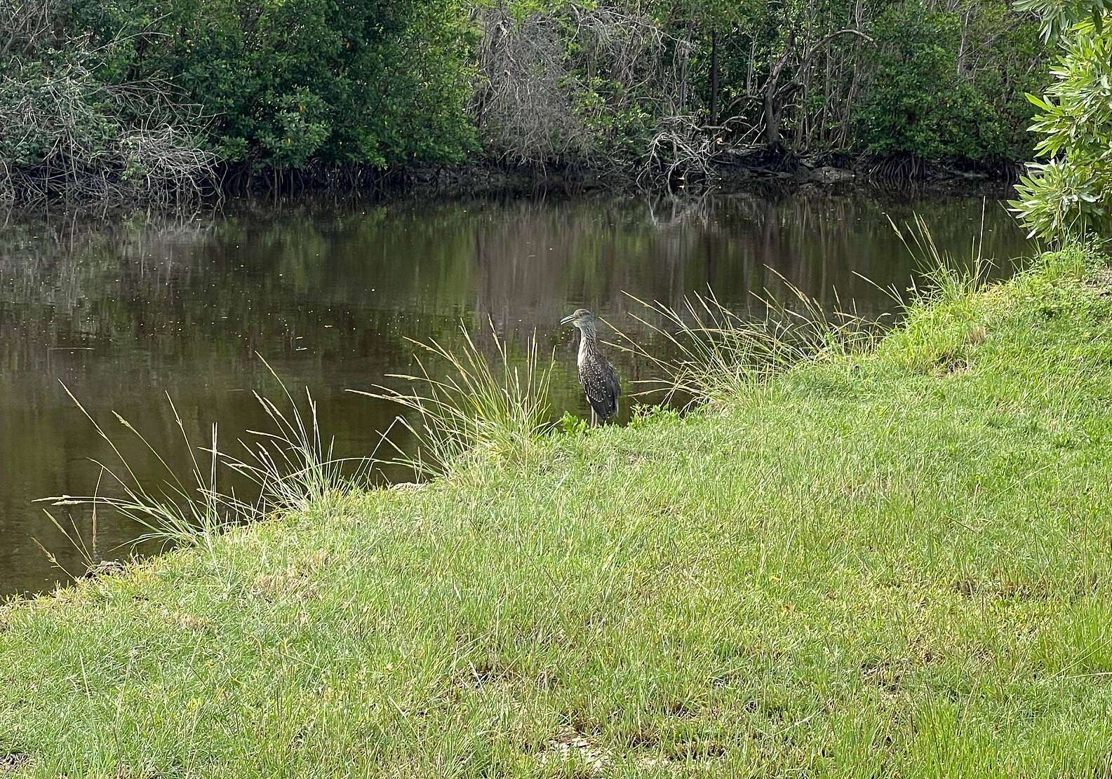 0.66 Acres of Land for Sale in Everglades City, Florida