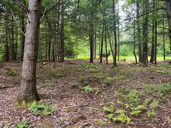 5.1 Acres of Residential Land for Sale in Middlesex, Vermont