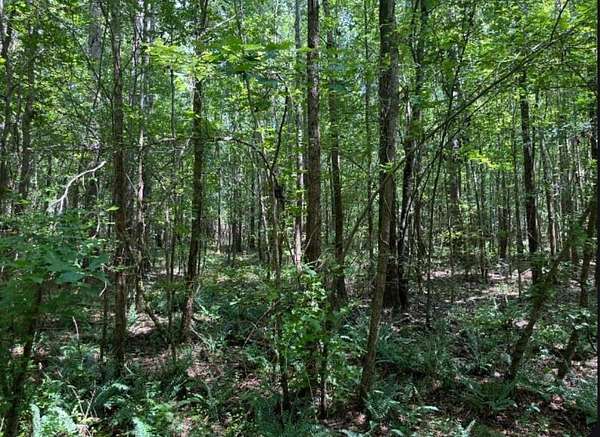 8.5 Acres of Residential Land for Sale in Beech Island, South Carolina