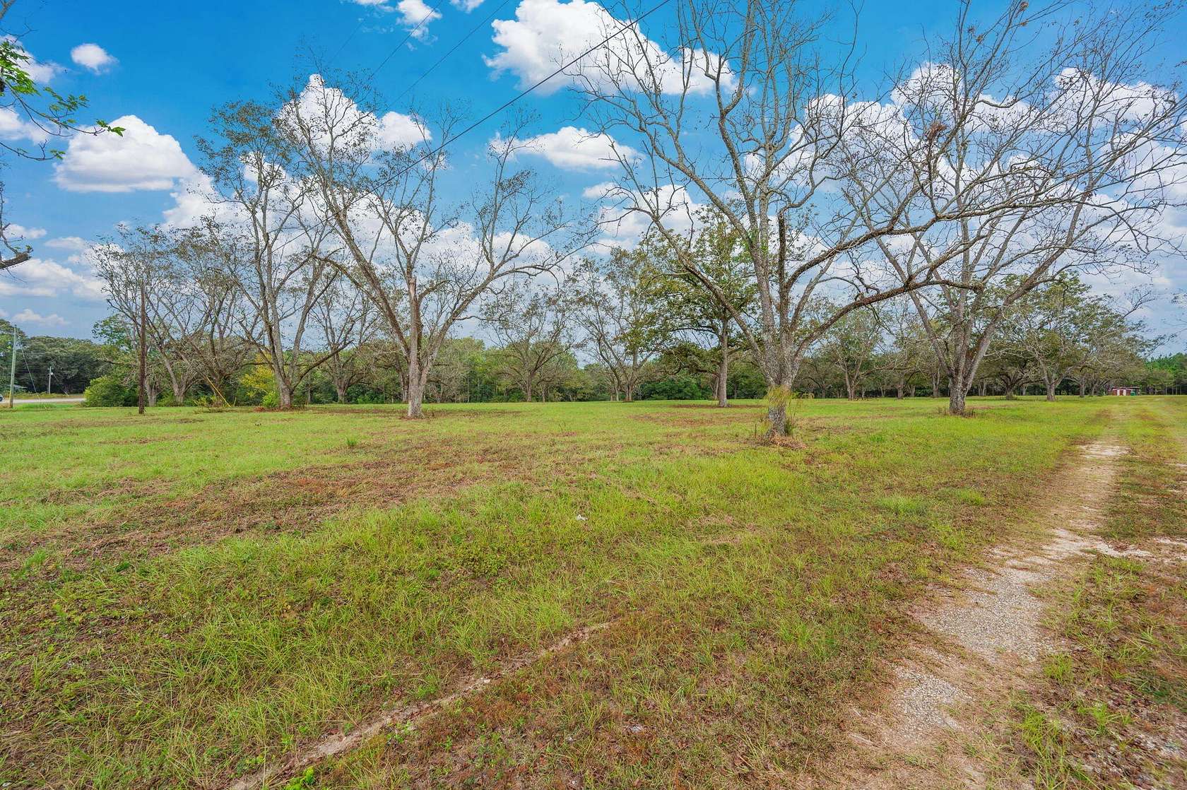 36 Acres of Land for Sale in Florala, Alabama