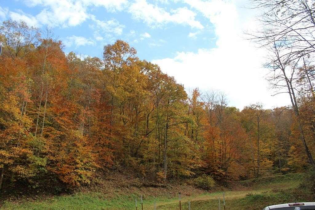 82 Acres of Recreational & Residential Land for Sale in Martha, Kentucky