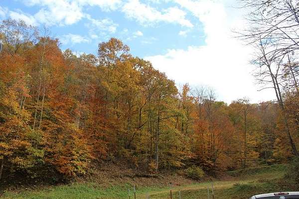 82 Acres of Recreational & Residential Land for Sale in Martha, Kentucky