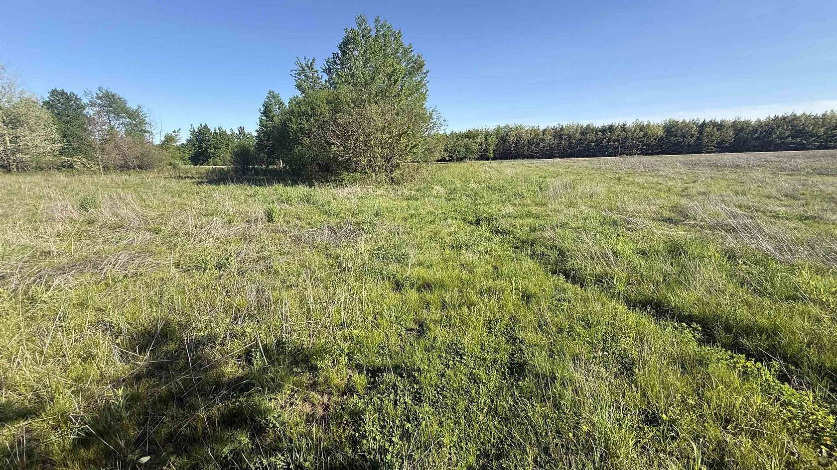 12 Acres of Land for Sale in Ringle, Wisconsin