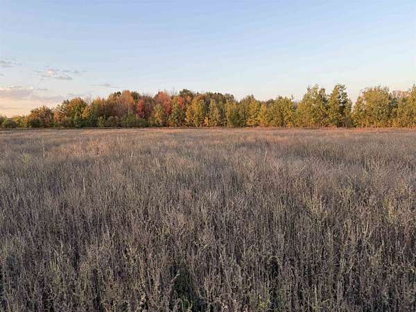 12 Acres of Land for Sale in Ringle, Wisconsin