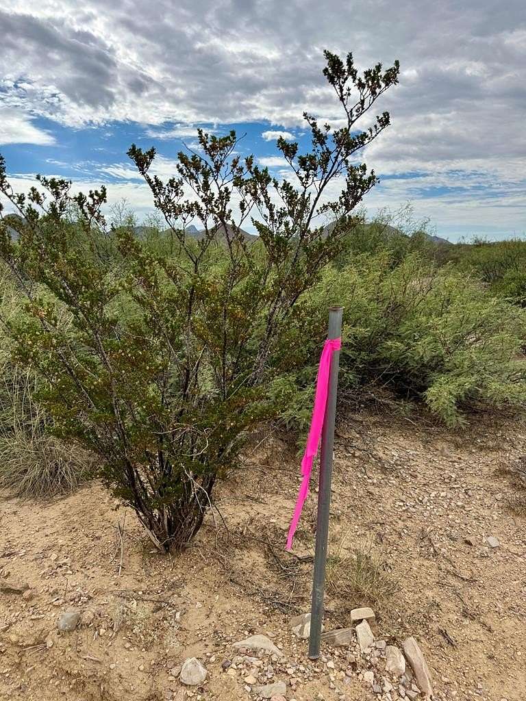 5 Acres of Land for Sale in Terlingua, Texas