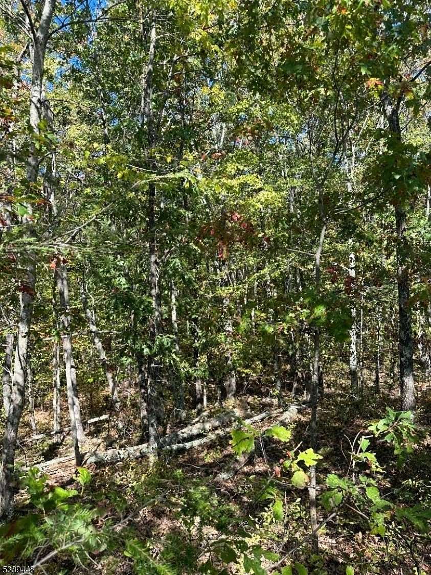 4.7 Acres of Land for Sale in Frankford Township, New Jersey