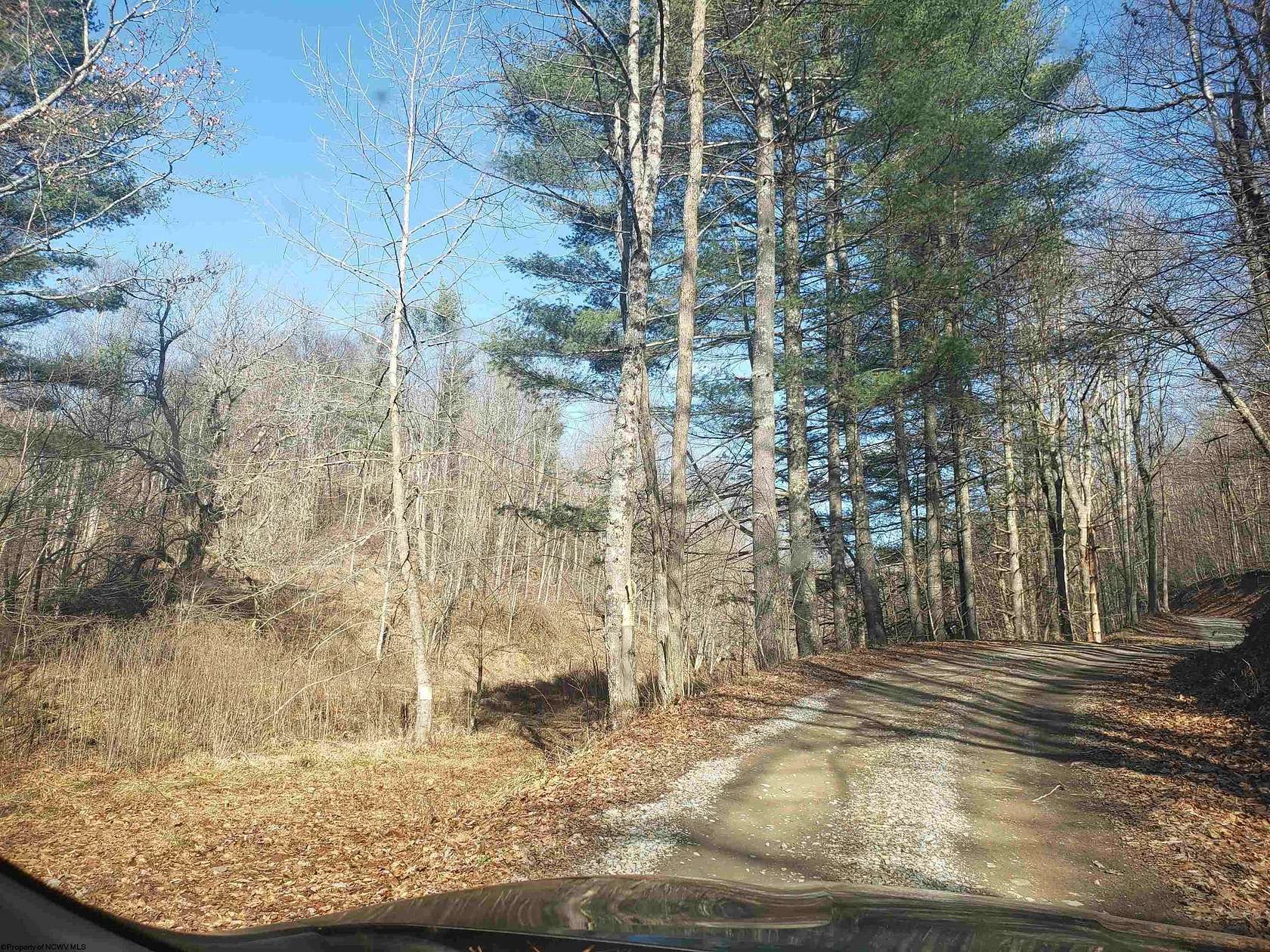 100 Acres of Recreational Land & Farm for Sale in Parsons, West Virginia