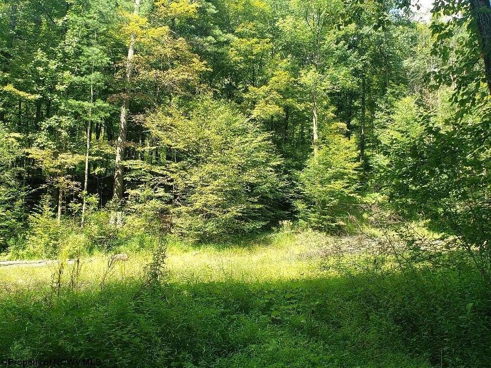 100 Acres of Recreational Land for Sale in Parsons, West Virginia