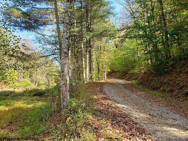 100 Acres of Recreational Land & Farm for Sale in Parsons, West Virginia