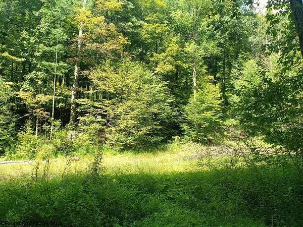 100 Acres of Recreational Land for Sale in Parsons, West Virginia