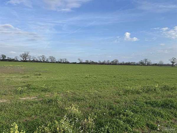 3 Acres of Residential Land for Sale in Jay, Florida