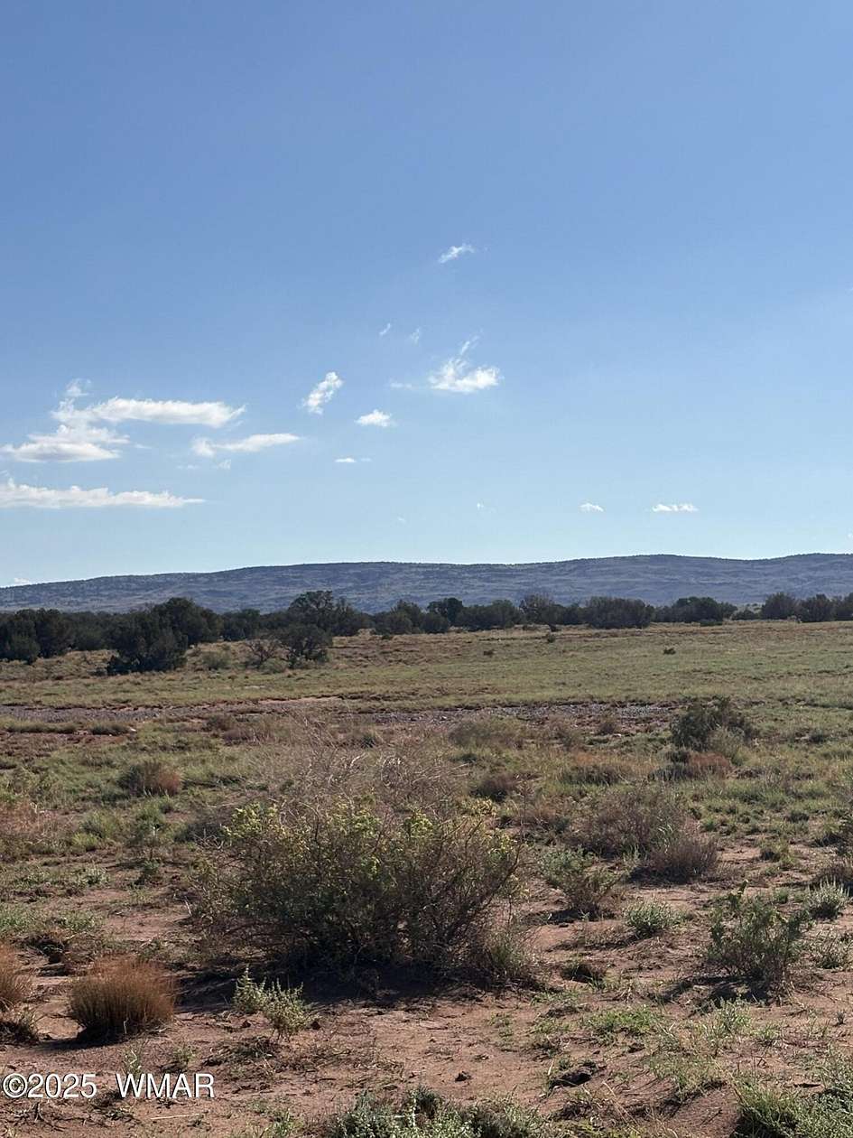 10 Acres of Recreational Land for Sale in Concho, Arizona