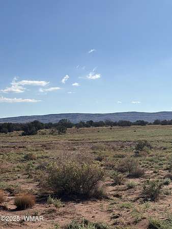 10 Acres of Recreational Land for Sale in Concho, Arizona